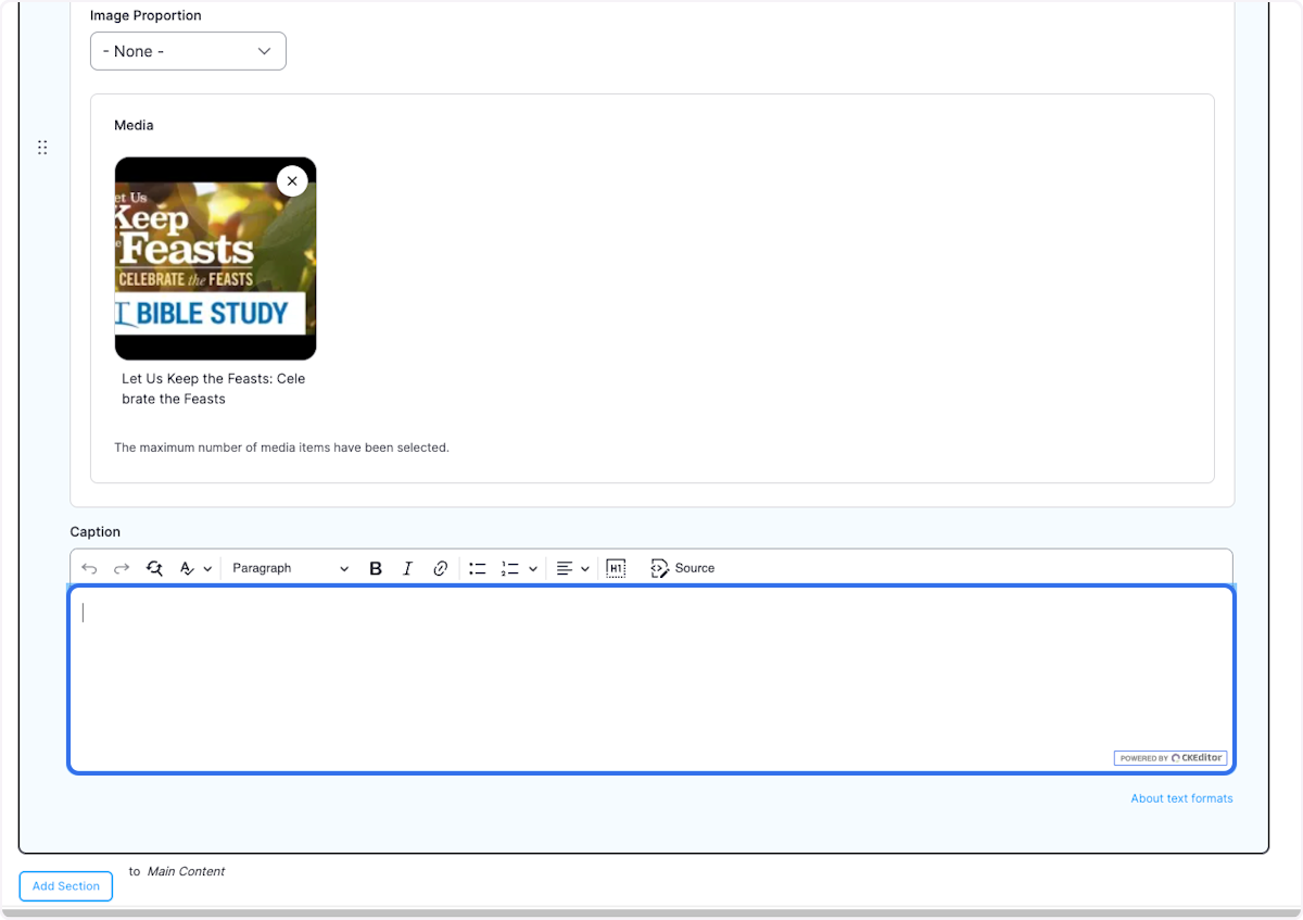 Optional: Add a caption to the video