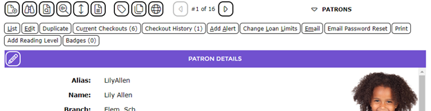 Screenshot of the Patron Details screen
