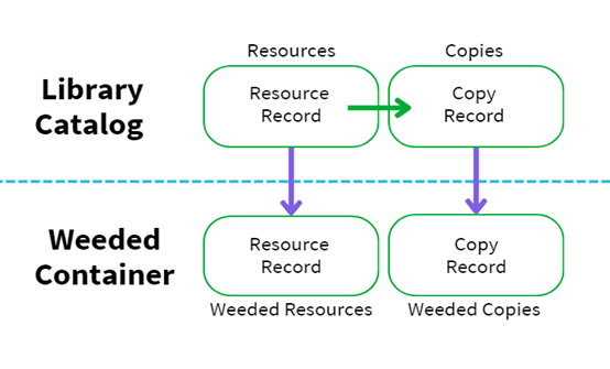 A diagram of a dog

Description automatically generated