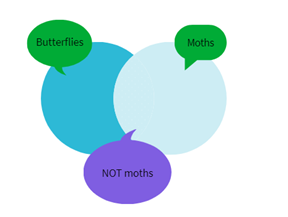 A diagram of butterflies and not moths
Description automatically generated