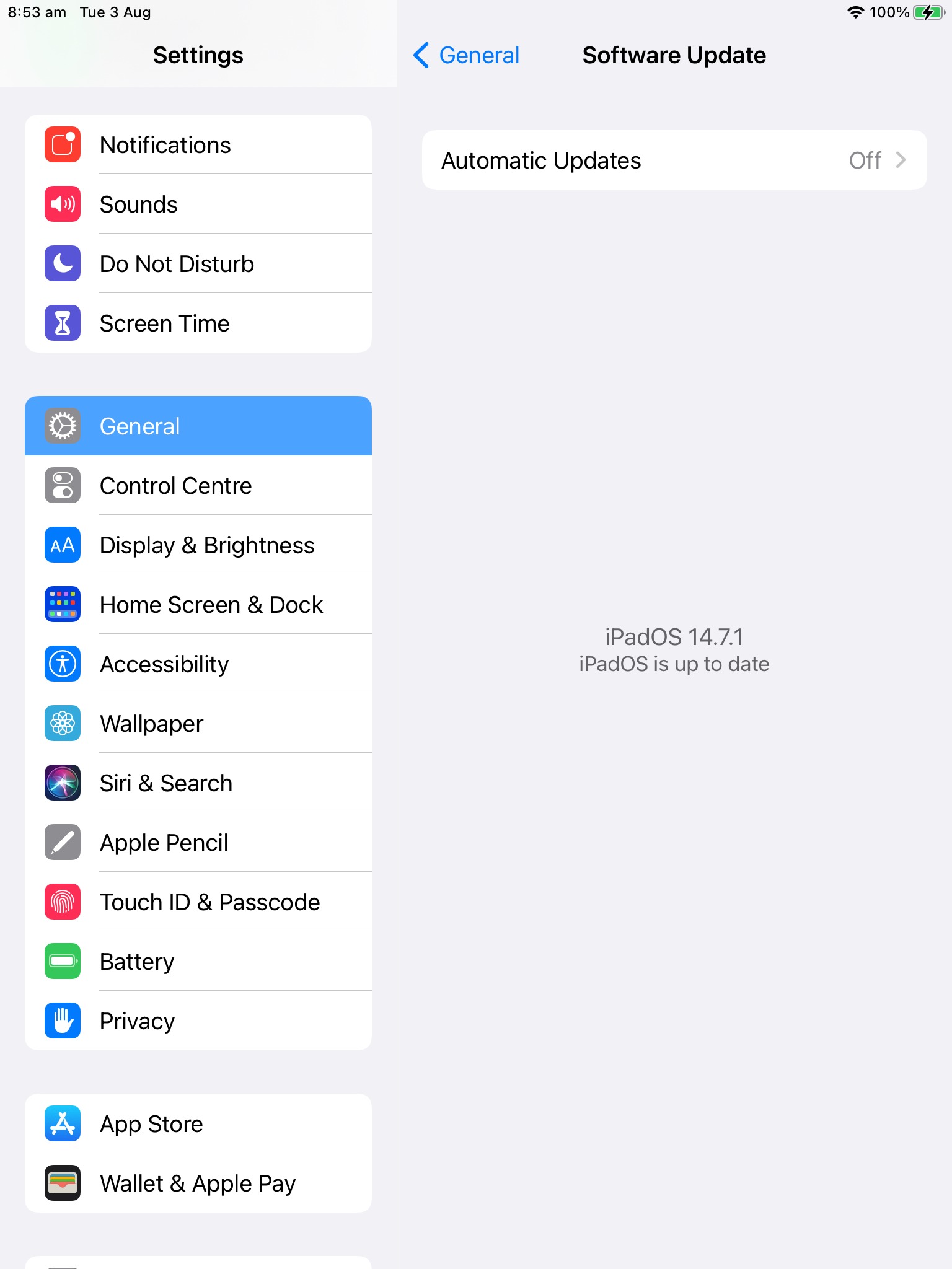iPad settings for NoahFace time clock