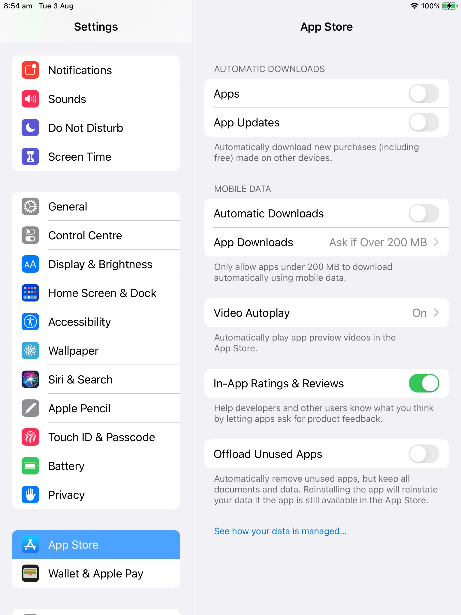 Screenshot of automatic app updates for NoahFace