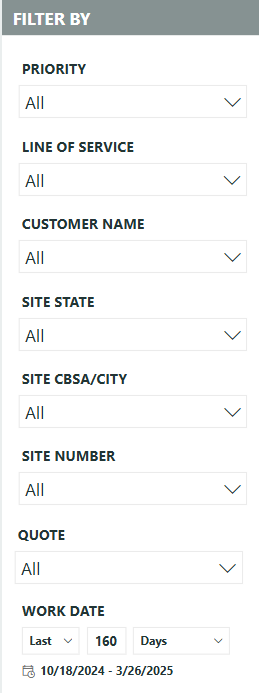 Report filters panel