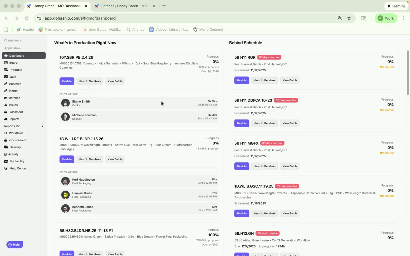 generated-image-at-00:00:47