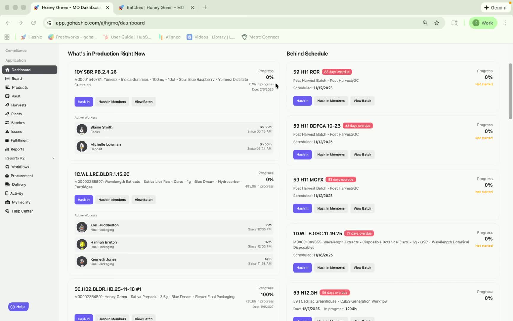 generated-image-at-00:00:40