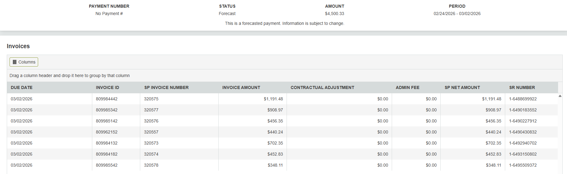 Forecast payment details