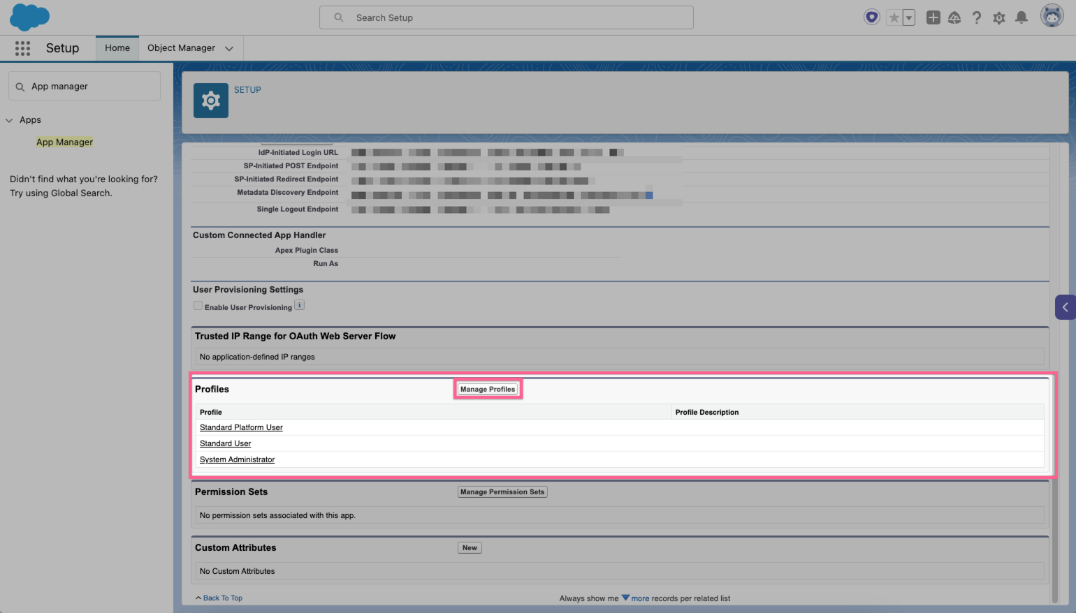 Lightning Experience Salesforce 2024-04-25 at 5.21.47 PM