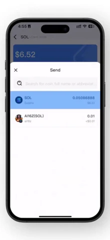 Choose the coin/token to be sent.