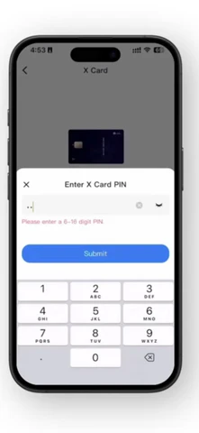 Enter your Card PIN.