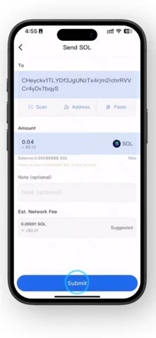 Check the details and then tap Submit.