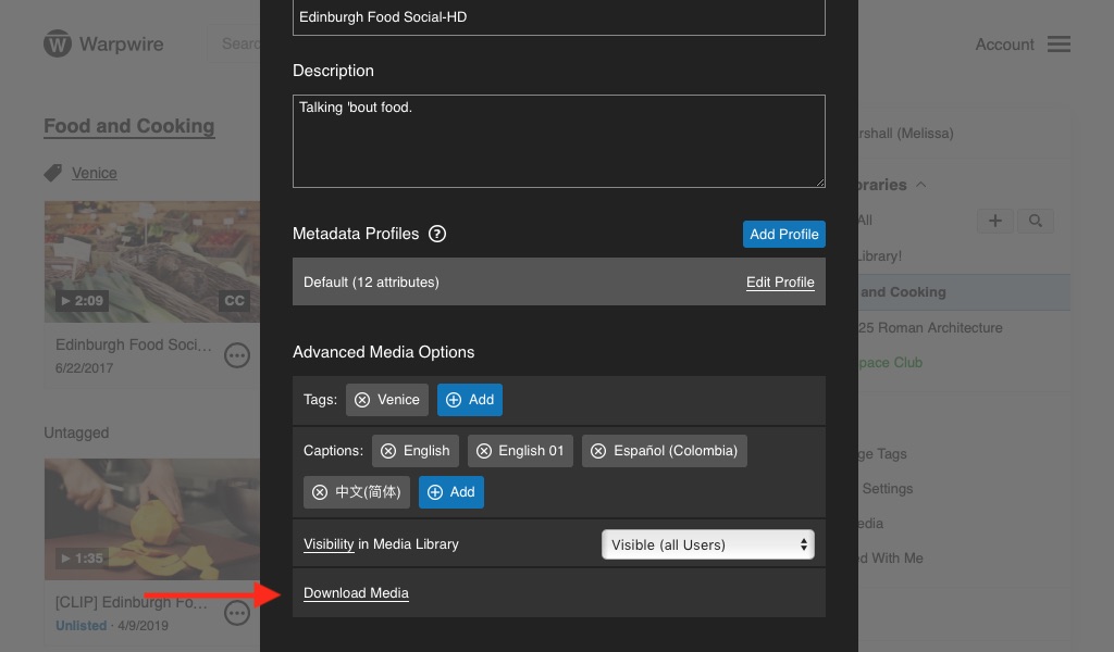 Media options pane within the Warpwire media library