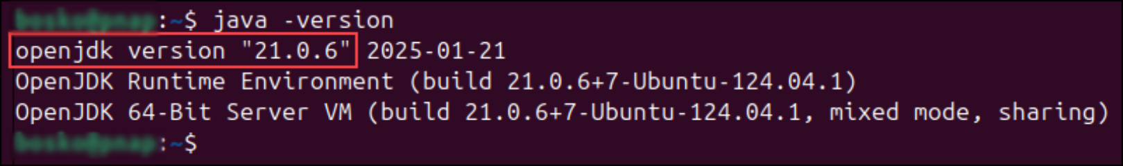 Checking Java version to verify it installed correctly.