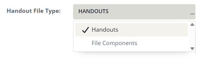 Image of the Handout File Type Options.