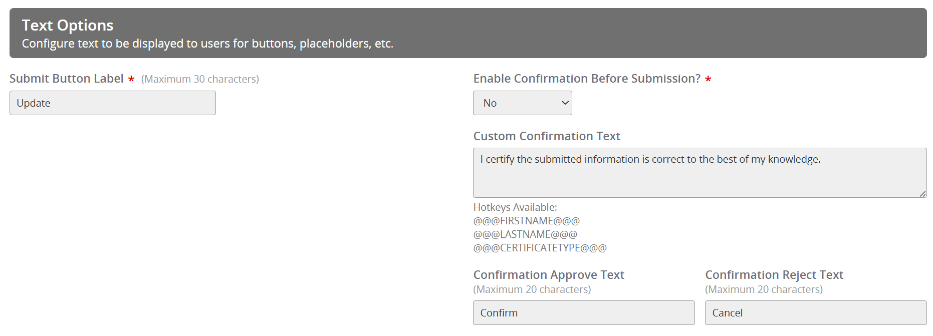 Image of the Text Options Section.