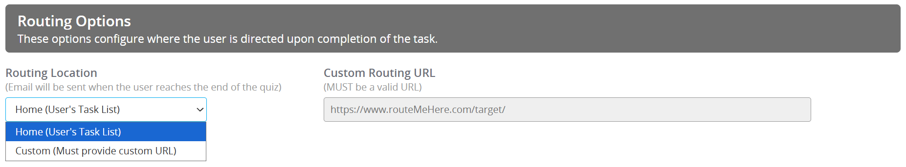 Image of the Survey Task Routing Options Section.