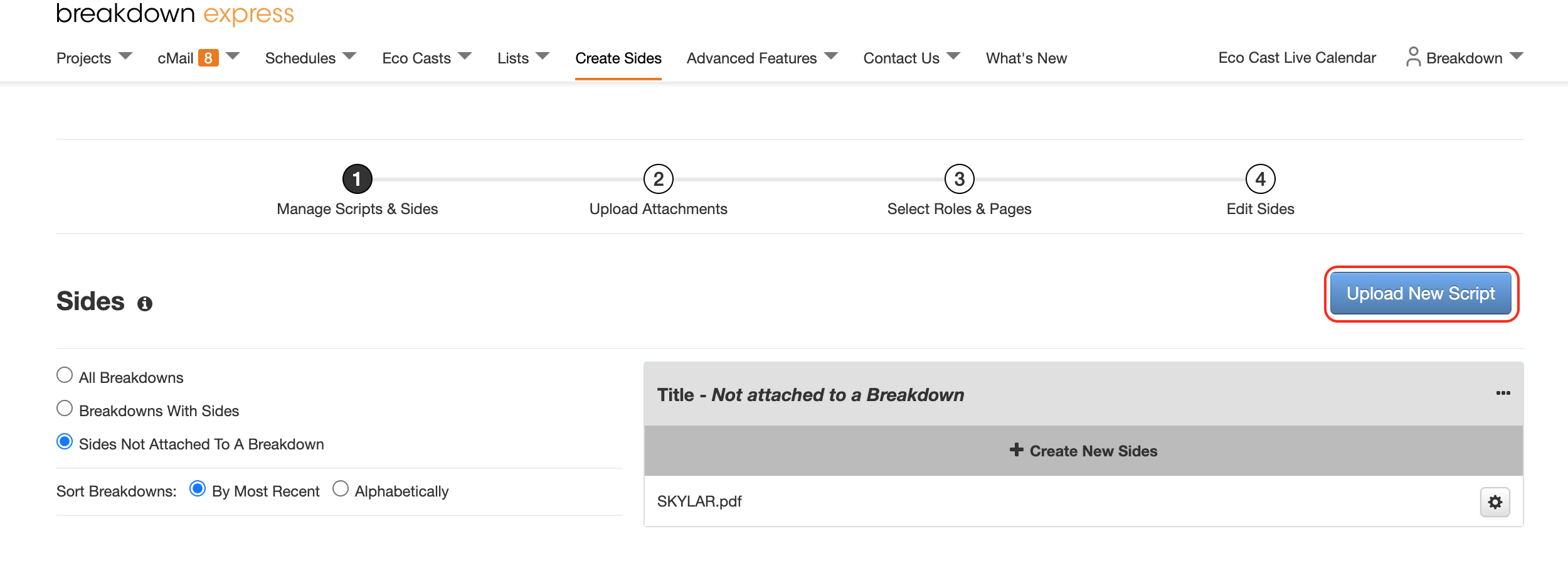 Script Sides Casting