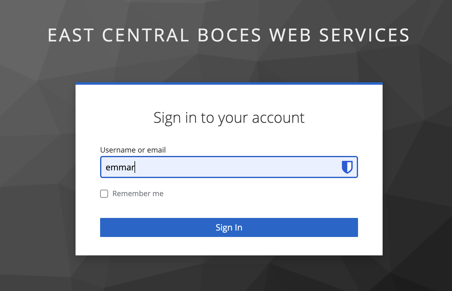 Screenshot of ECBOCES SSO login page