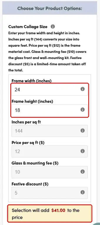 Product page showing Selection will add $41.00 to the price