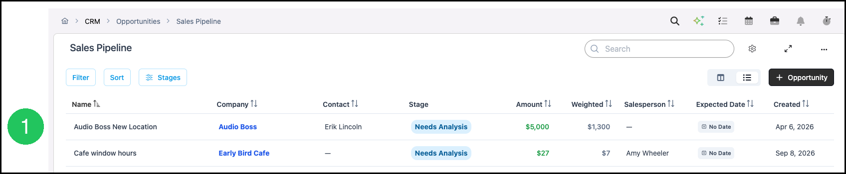 Opportunity Name in List view