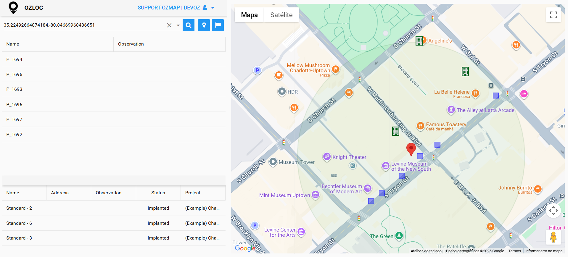 Searching for feasibility in OZloc by poles