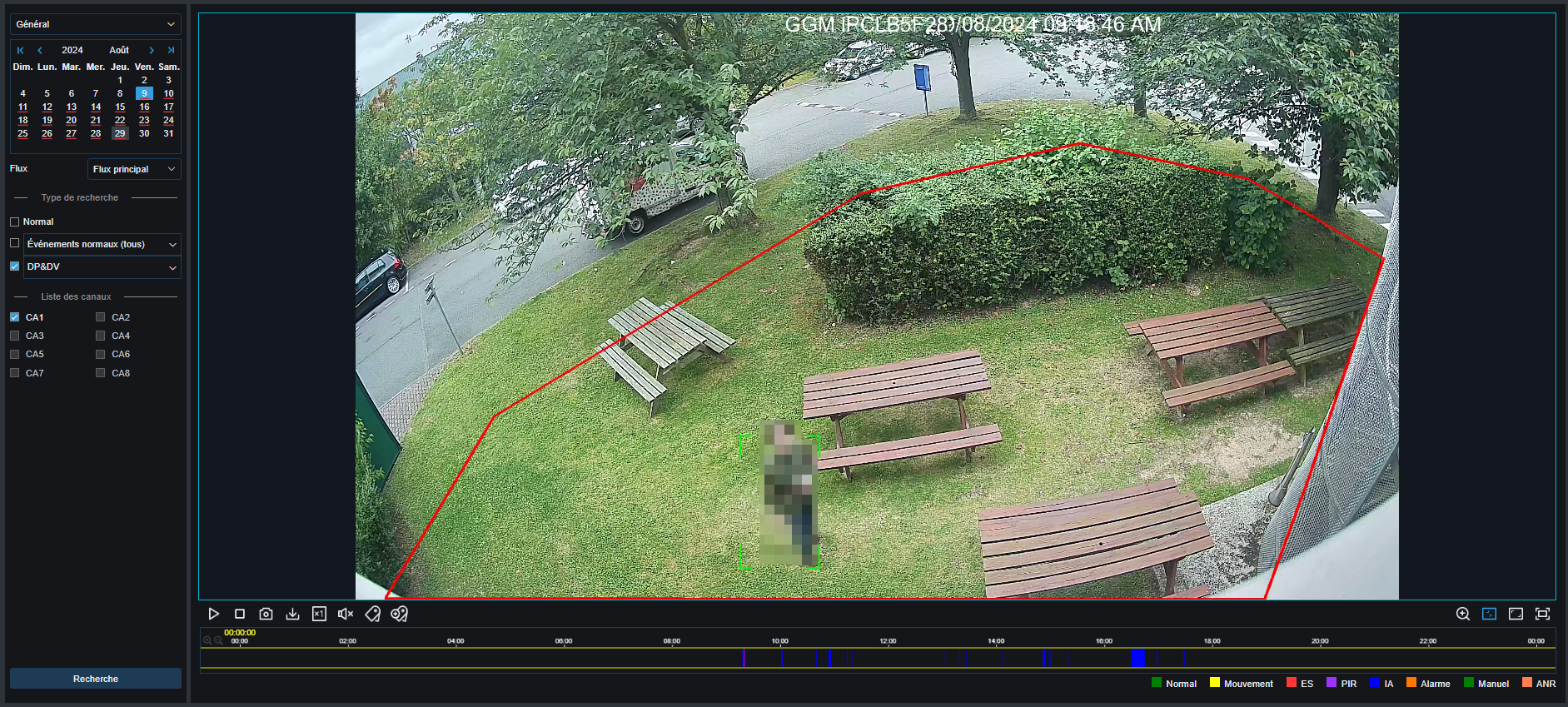 An image containing screenshot, plant, multimedia software, graphic design software

Auto-generated description