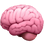 :cérebro: