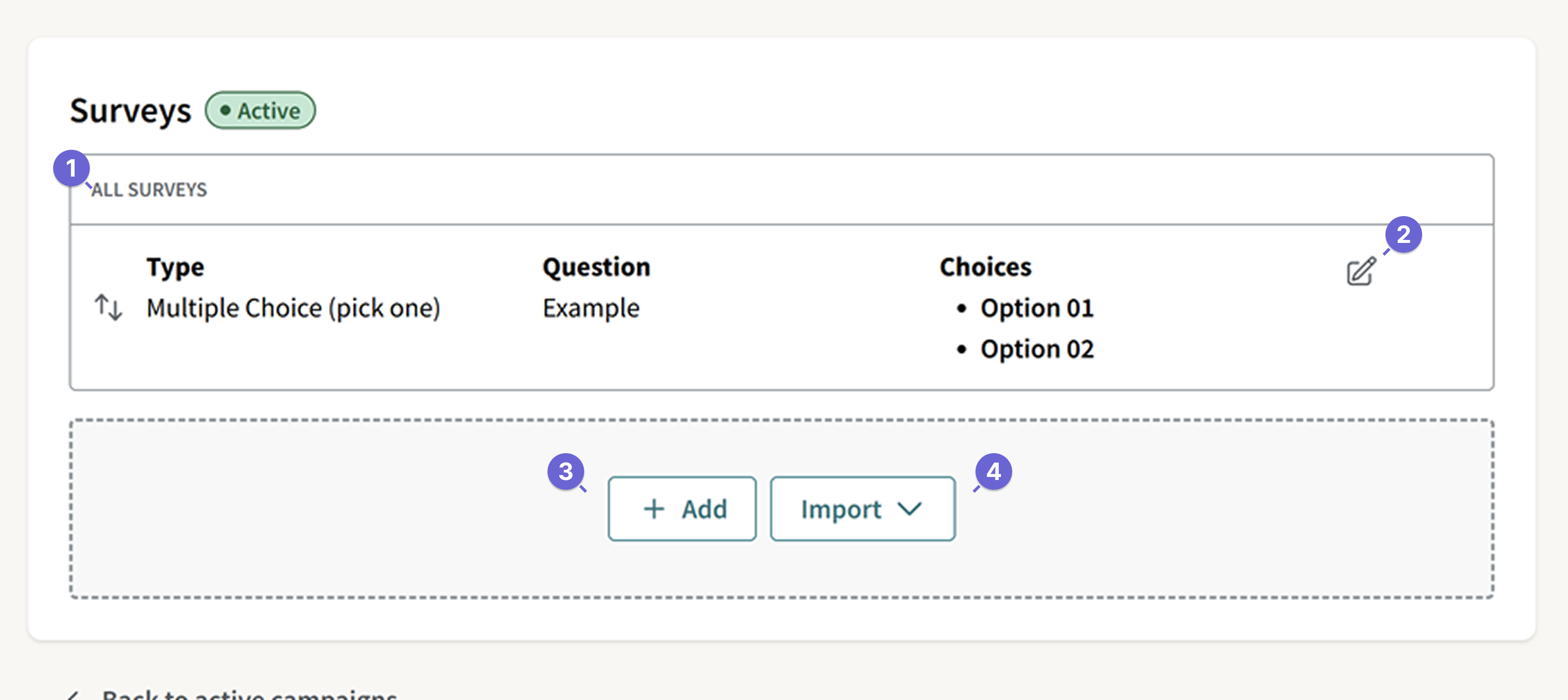 Screenshot of the Survey page within the Campaign Summary
