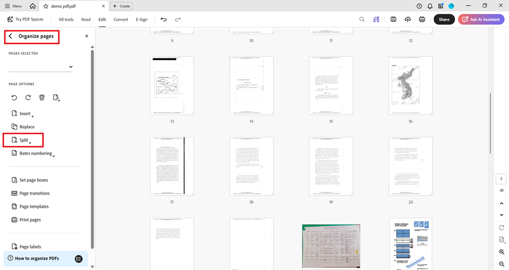 Click on Split in the organize pages toolbar