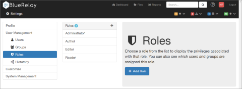 Create a Role : Blue Relay Support