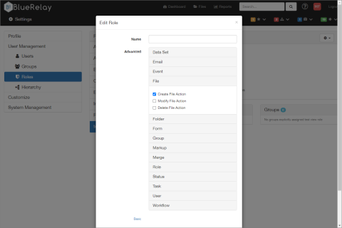 Create a Role : Blue Relay Support