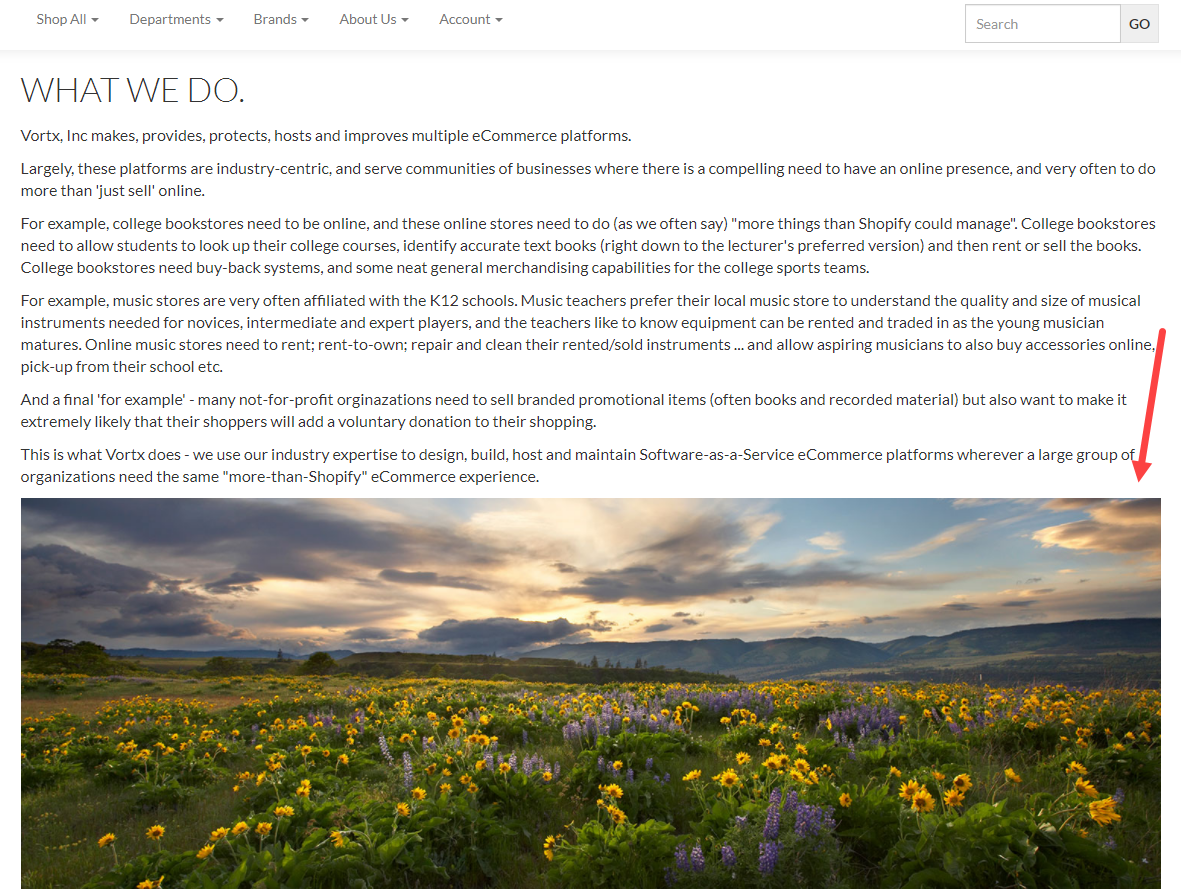 Text
Description automatically generated