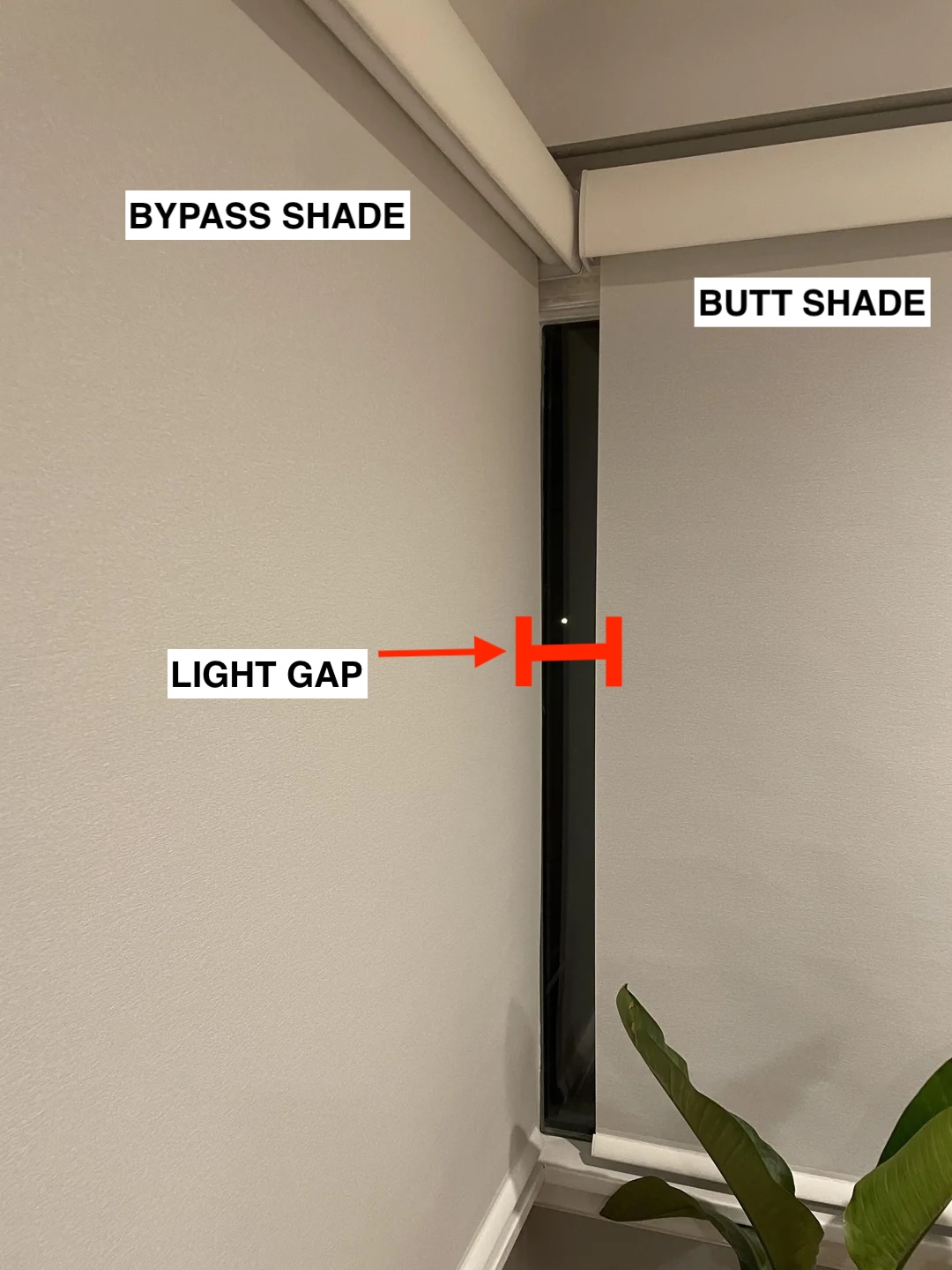 A white wall with black and red text

AI-generated content may be incorrect.