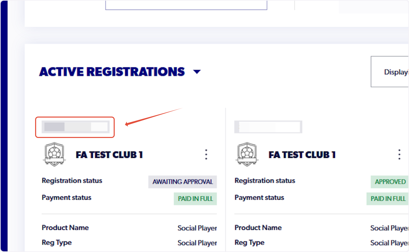 Here you will be able to view all the active registrations attached to your account