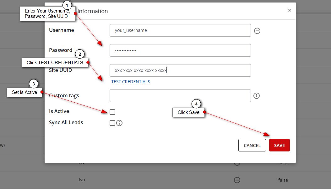 Real Geeks configuration