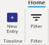 Timeline Home tab with New Entry and Filter buttons