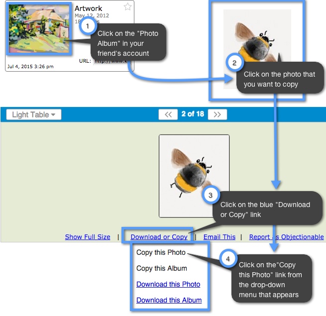 How can I copy Photos and Photo Albums? Keep&Share Support Support