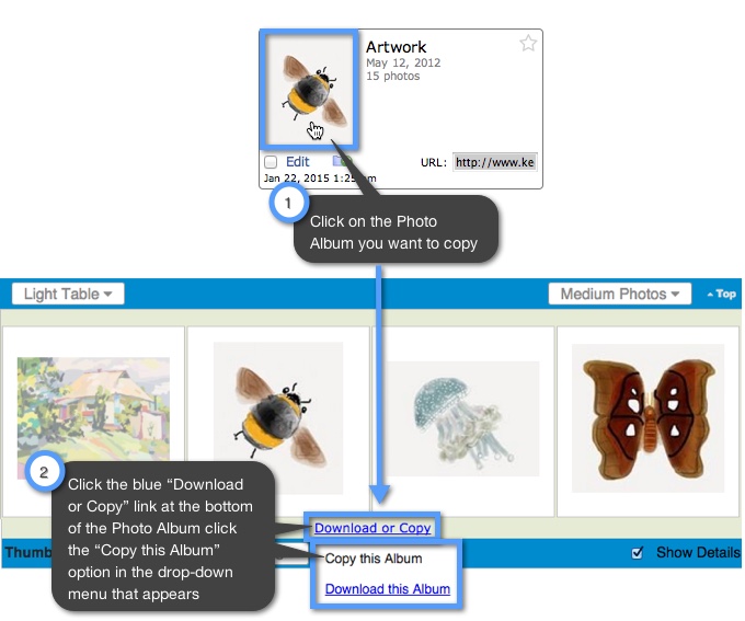 How can I copy Photos and Photo Albums? Keep&Share Support Support
