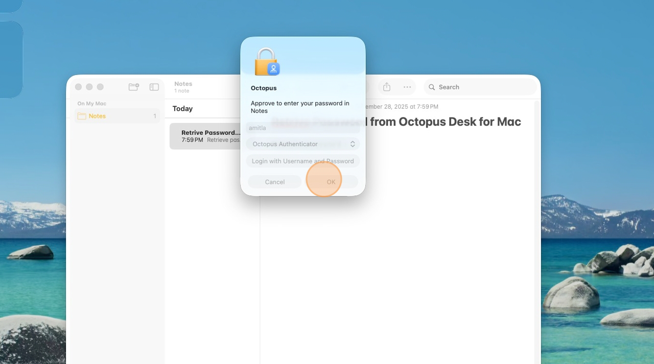 Step 4 - Approve in Octopus Authenticator