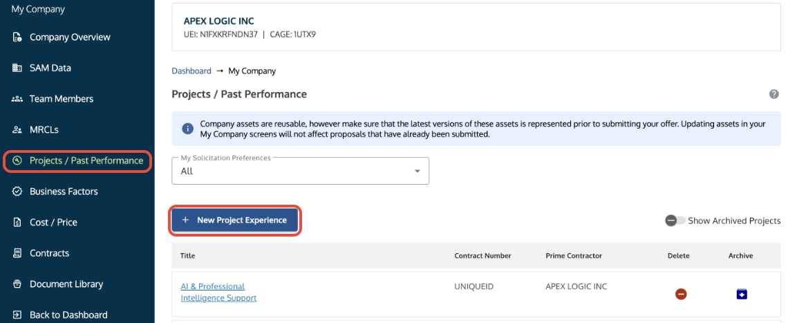 Projects/Past Performance tab showing the +New Project Experience button highlighted.