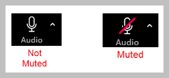 The microphone in Zoom shows that you are muted if there is a red line through it.
