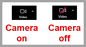 A red line through the camera icon means that your camera is off. 