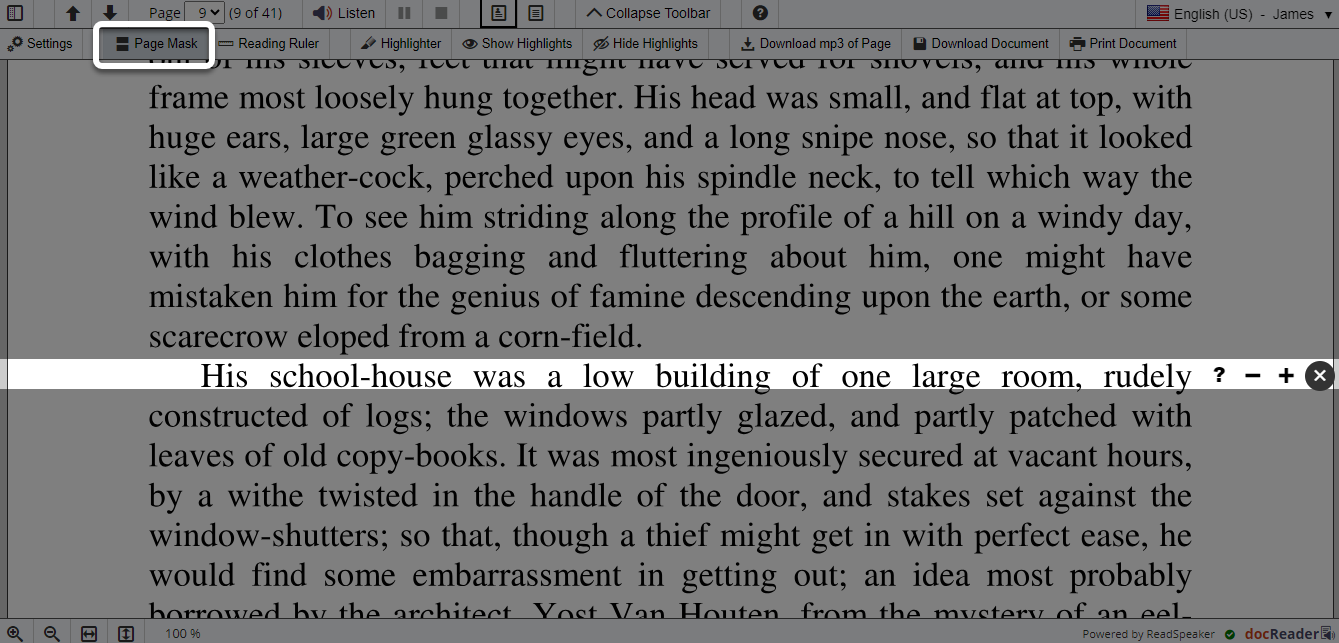 The page mask option is in the extended toolbar and has an icon that looks like 2 dark colored rectangles.