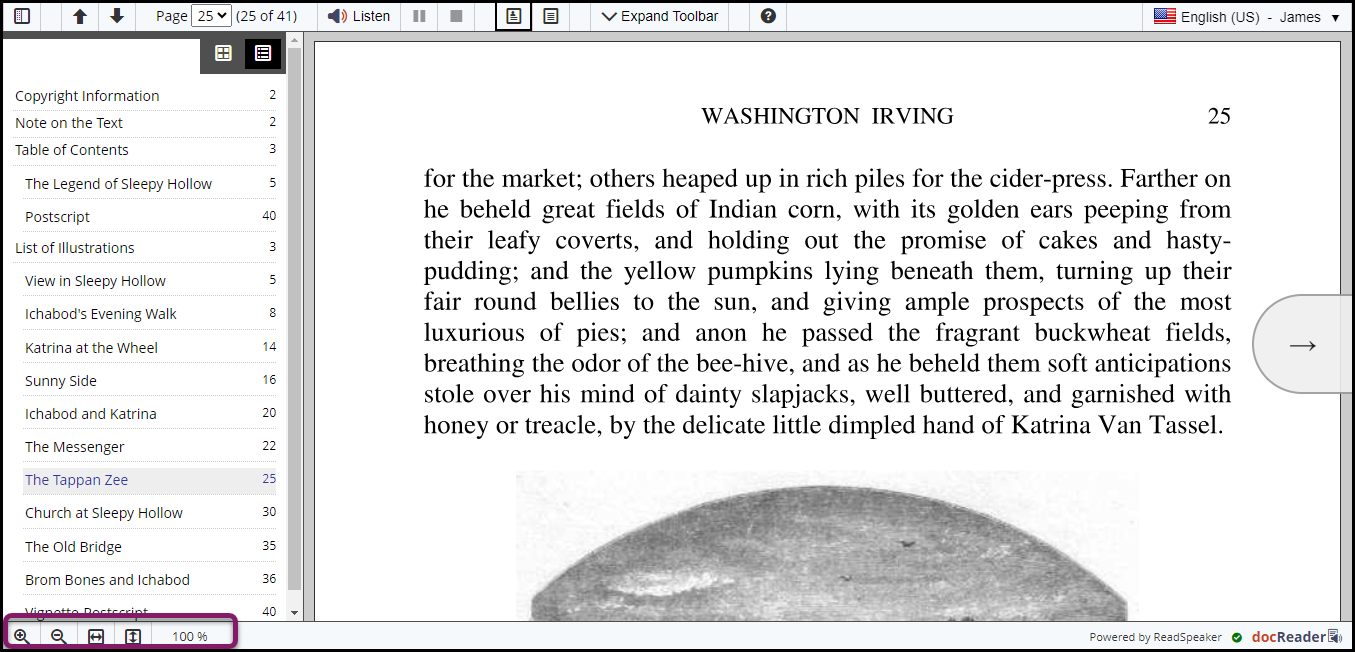 The magnification tools are in the bottom left corner of the screen.