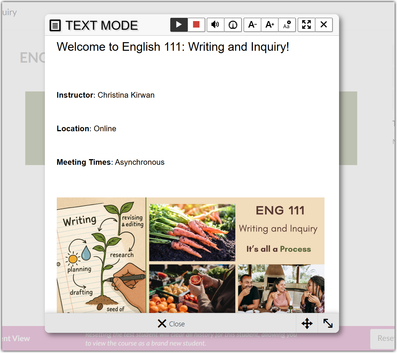 webReader text mode popup in use
