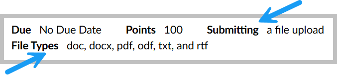 Canvas Assignments display due dates, points, types of submissions and file types at the top.
