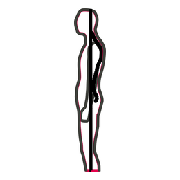 Slightly concave waist
