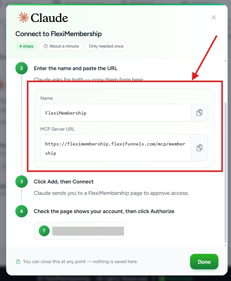 Setup guide showing the Name and MCP Server URL fields