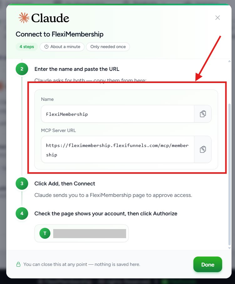 Setup guide showing the Name and MCP Server URL fields