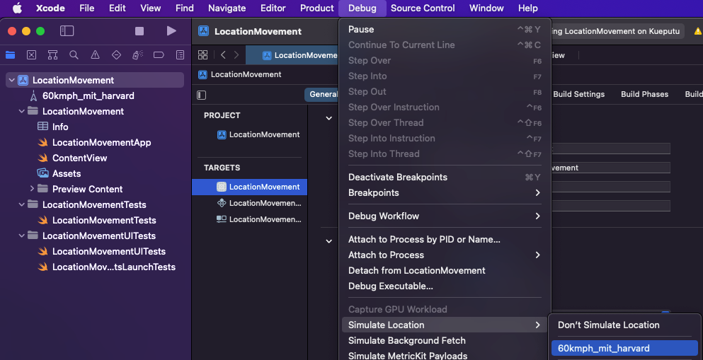 The file position in Xcode.