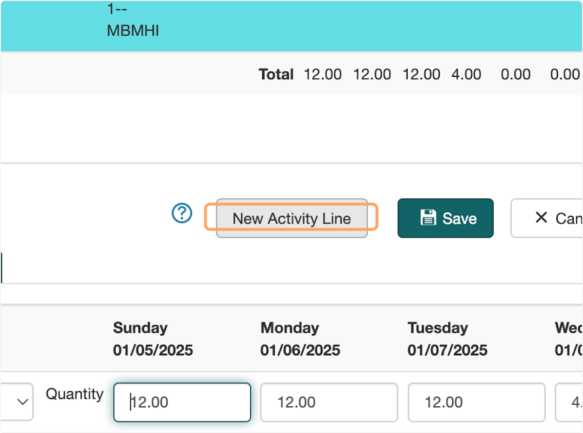 Click on New Activity Line. This will add a new activity line you can add Overtime on.